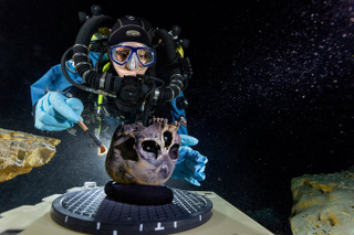 Illustration for article titled Those Transitional Fossils You're On About?